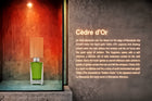 Cèdre d'Or Parfum 50ml