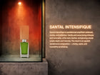 Santal Intensifié Parfum 50ml
